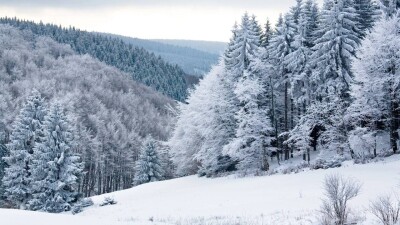 Прогноз погоды на 6 января: погода без осадков сохранится почти по всей территории Казахстана