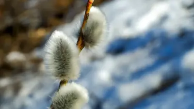 Прогноз погоды на 12 апреля: в Казахстане ожидается переменная облачность