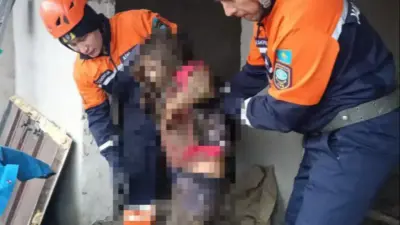 Девочка провалилась в выгребную яму в Жамбылской области