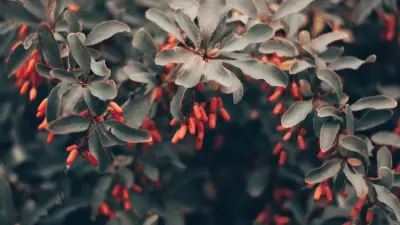 Прогноз погоды на 7 сентября: переменная облачность сохранится в большинстве регионов Казахстана