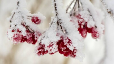 Прогноз погоды на 1 января: переменная облачность сохранится в большинстве регионов Казахстана