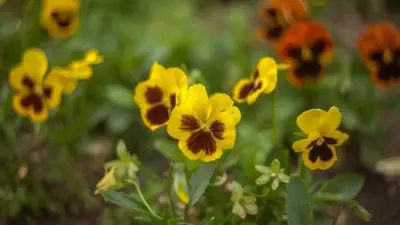 Прогноз погоды на 28 сентября: в большинстве регионов Казахстана ожидается переменная облачность