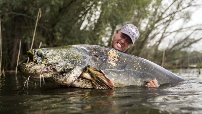 Чешский рыбак поймал сома весом 130 килограммов и отпустил обратно в реку