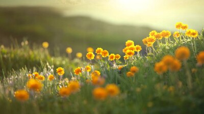 Прогноз погоды на 5 августа: дожди и грозы пройдут в нескольких областях страны