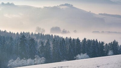 Прогноз погоды на 2 декабря: туман ожидается на большей части территории Казахстана