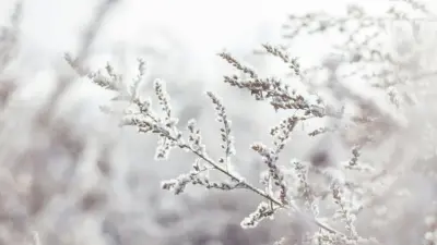 Штормовое предупреждение объявили почти по всей территории Казахстана 7 декабря