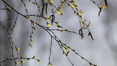 Прогноз погоды на 20 апреля: во всех регионах Казахстана ожидается потепление