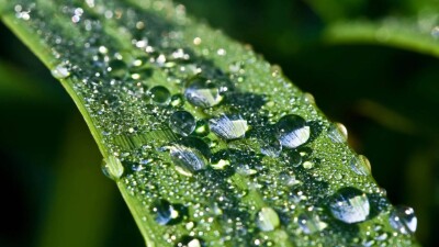 Прогноз погоды на 30 мая: заморозки ожидаются на севере Казахстана