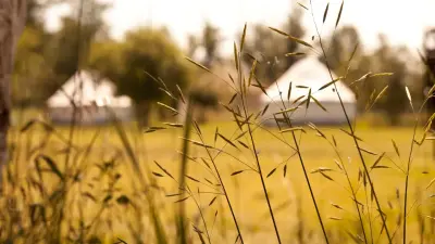 Прогноз погоды на 18 мая: дожди и грозы ожидаются в ряде регионов Казахстана