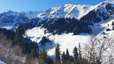 Большое дерево перекрыло дорогу в горах Алматы