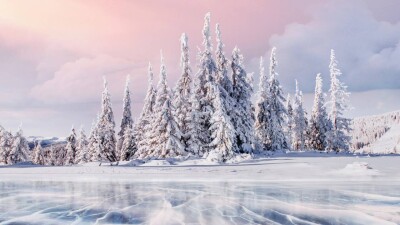 Прогноз погоды на 13 января: в 12 регионах Казахстана ожидается туман