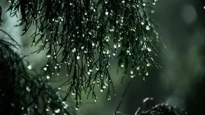 Прогноз погоды на 20 апреля: в ряде регионов Казахстана ожидаются дожди и грозы