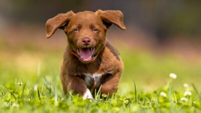 Прогноз погоды на 12 августа: грозы ожидаются в нескольких городах Казахстана