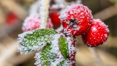 Прогноз погоды на 14 октября: гололёд ожидается в ряде регионов Казахстана