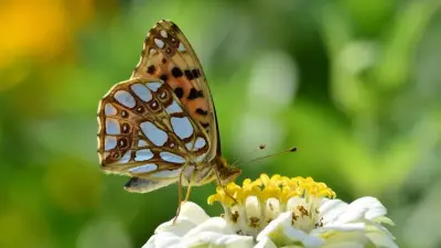 Прогноз погоды на 6 июля: в Казахстане ожидаются дожди, грозы и жара до +37 градусов