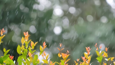 Прогноз погоды на 17 июня: дожди и грозы ожидаются на большей части Казахстана