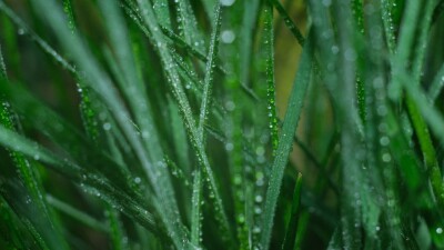 Заморозки и высокая пожарная опасность: штормовое предупреждение объявили на большей части Казахстана