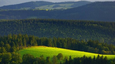 Прогноз погоды на 28 июля: переменная облачность сохранится на большей части Казахстана