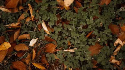 Прогноз погоды на 1 сентября: в ряде регионов Казахстана пройдут дожди и грозы