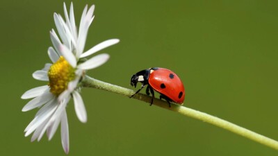 Прогноз погоды на 30 июня: на большей территории Казахстана осадков не ожидается