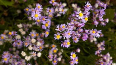 Прогноз погоды на 30 сентября: в трёх городах Казахстана ожидаются заморозки