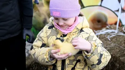 Международный фестиваль "Auyl Fest. Гусеводство" прошёл в Петропавловске