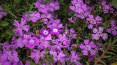 Прогноз погоды на 8 сентября: на севере и востоке Казахстана пройдут дожди и грозы