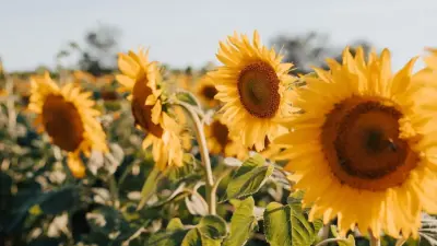 Прогноз погоды на 13 июля: на юге Казахстана сохранится жара, на севере и востоке возможны дожди