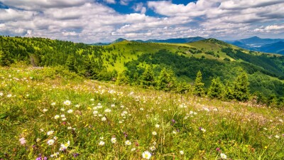 Прогноз погоды на 22 июля: осадков на большей части Казахстана не ожидается