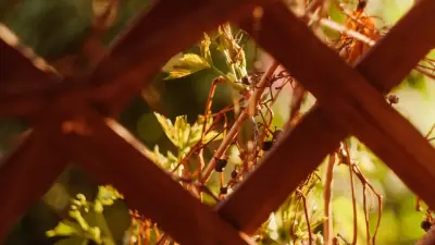 Прогноз погоды на 5 октября: в центральных и северных областях Казахстана ожидаются заморозки