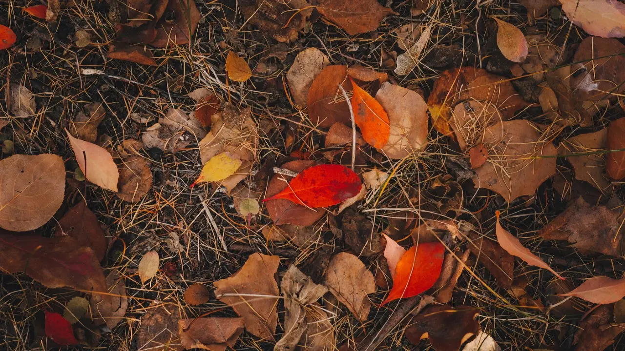 Фото Informburo.kz