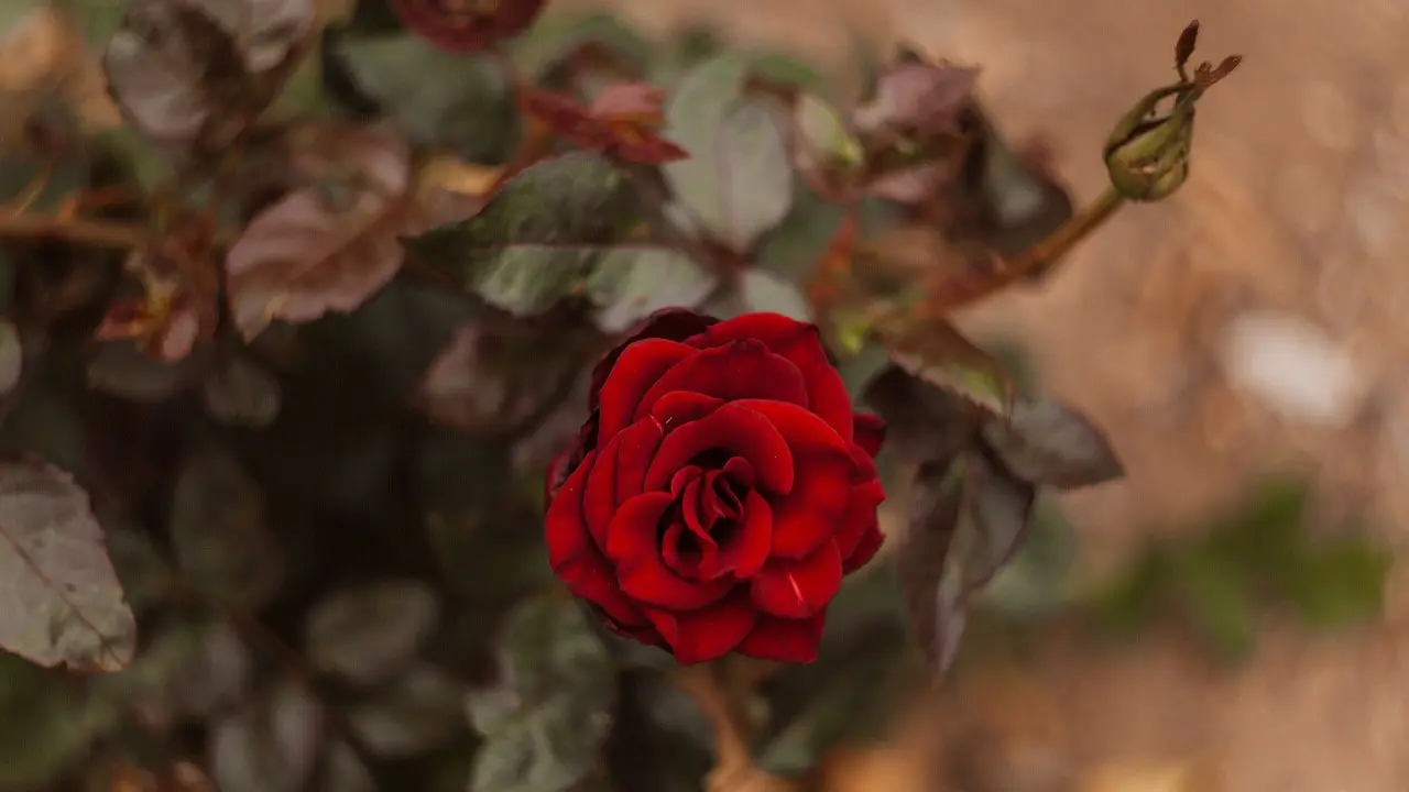 Фото Informburo.kz