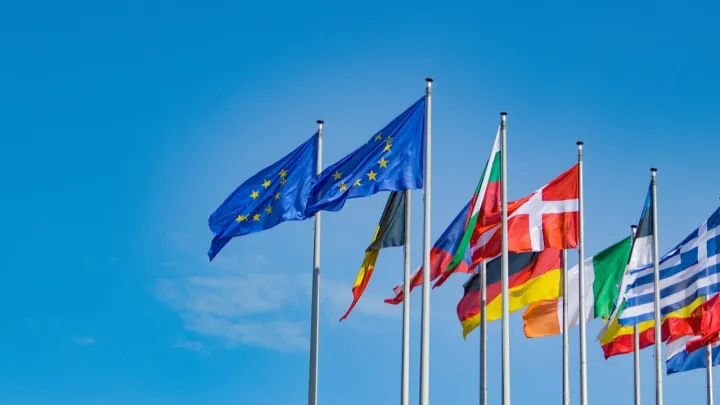 Президента Европарламента уличили в плагиате