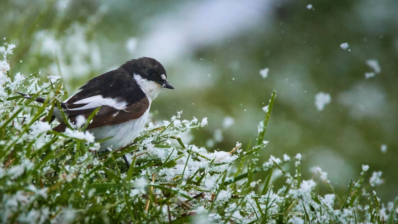 Фото Depositphotos