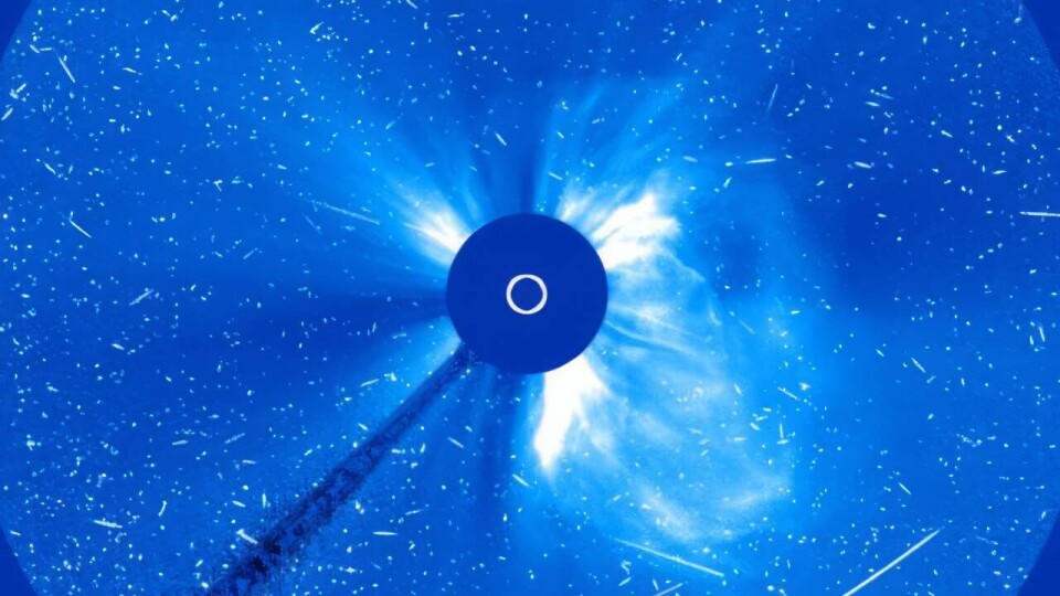 Снимки с космического телескопа LASCO — 8 июня 2024 года / Фото: xras.ru