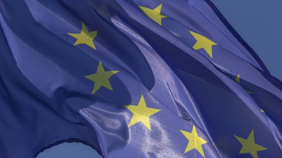 Завершился главный день выборов в Европейский парламент