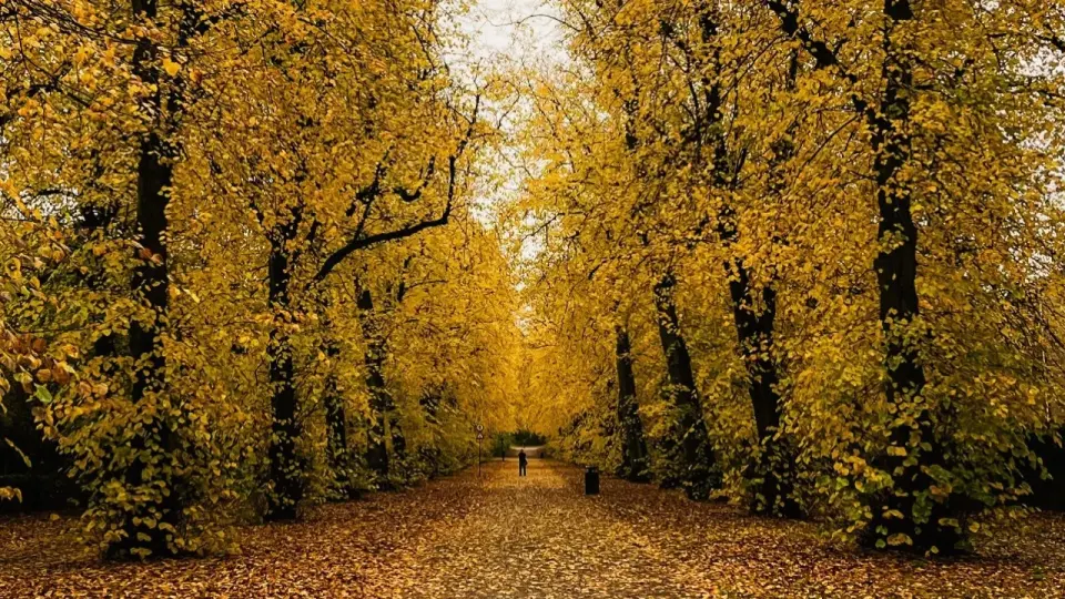 Фото Pexels.com