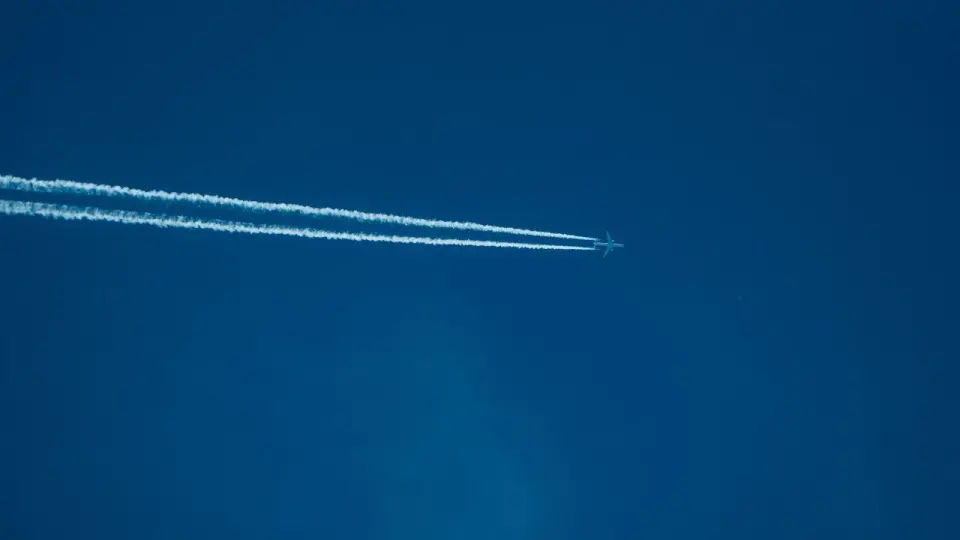 Фото Pexels.com