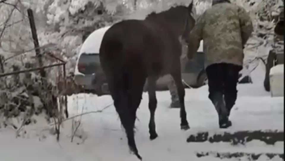 Кадр из видео