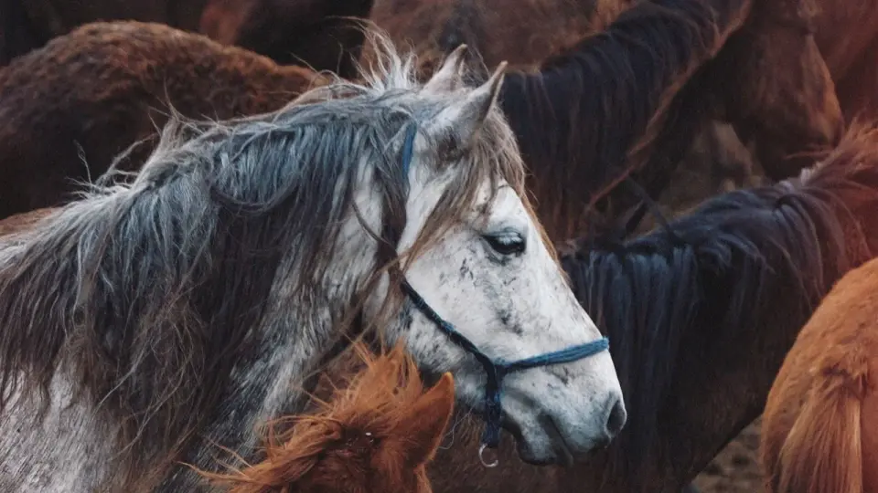 Фото Pexels.com