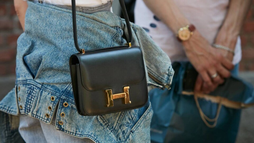 Одиннадцать сумок Hermès украли у родственницы эмира Катара в поезде по пути в Париж