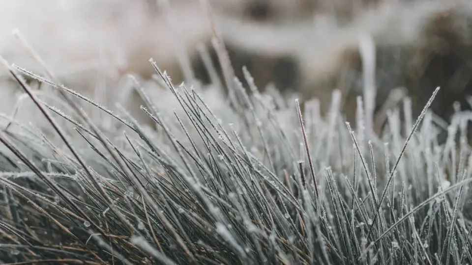 Фото Pexels.com