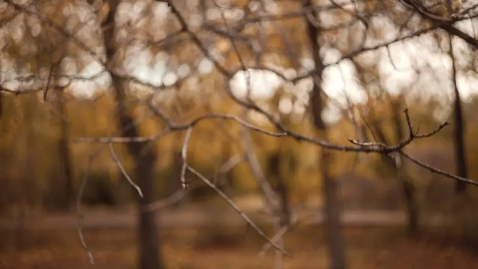 Фото Informburo.kz