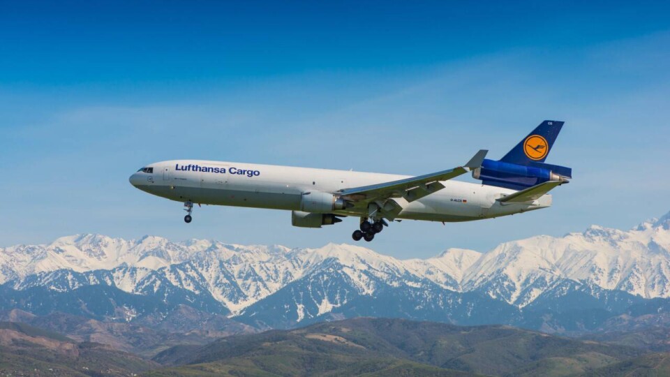Lufthansa намерена взыскать более миллиона евро с климатических активистов