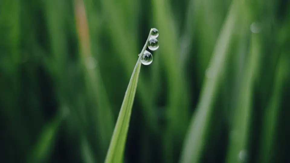 Фото Pexels.com