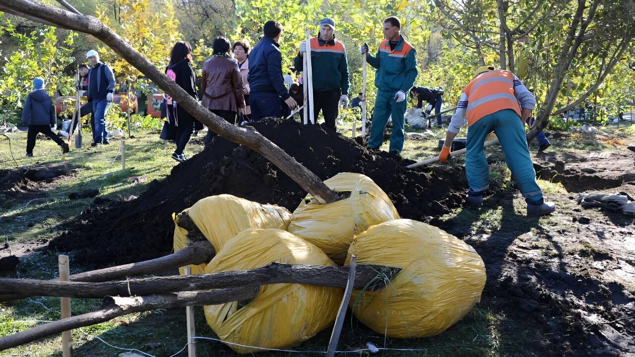 Более 280 тысяч саженцев высадят в Алматы / Фото пресс-службы акимата Алматы