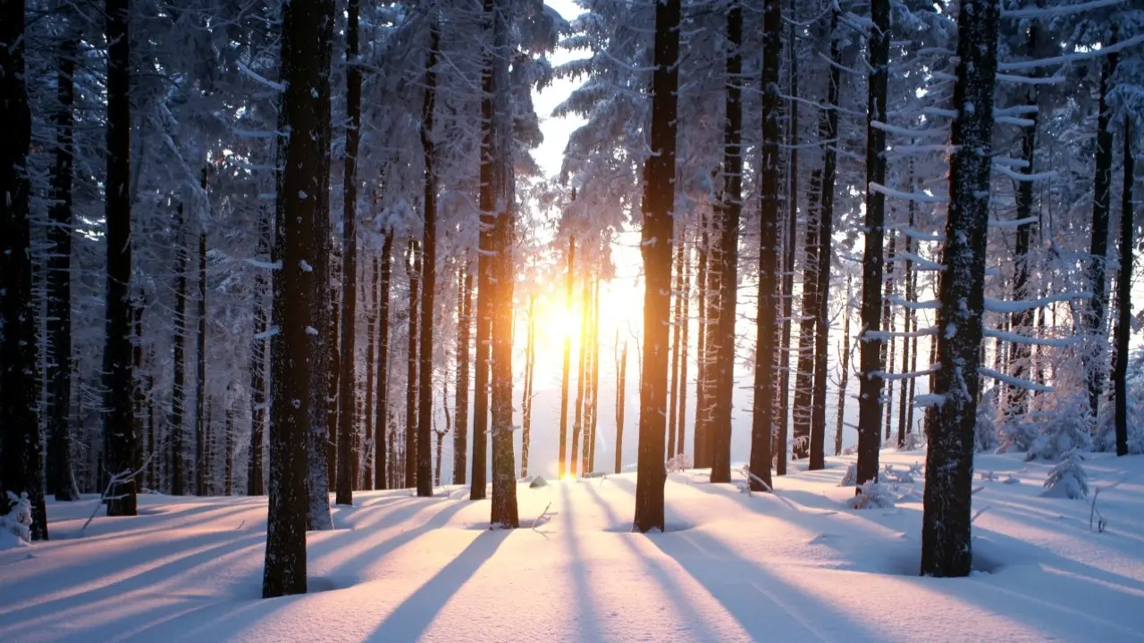 Фото Depositphotos