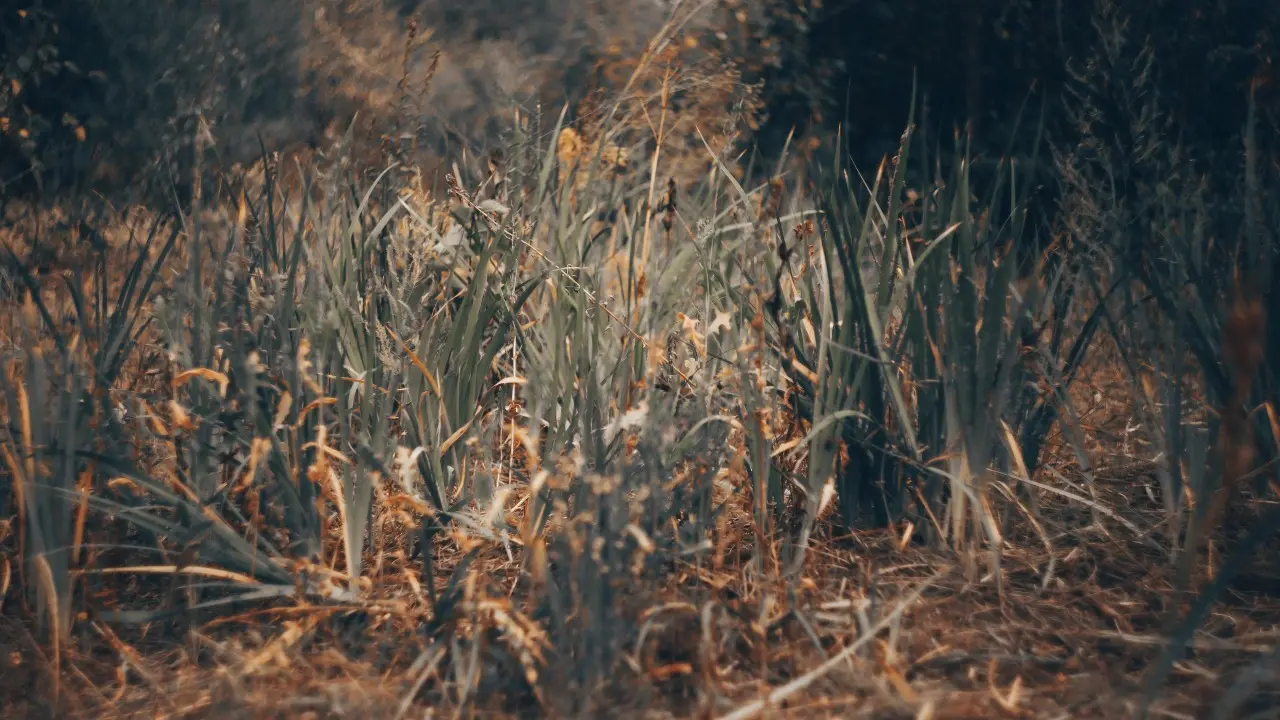 Фото Informburo.kz