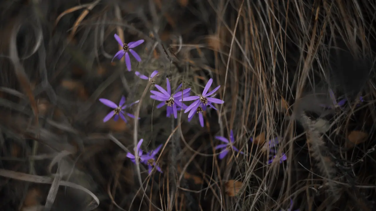 Фото Informburo.kz