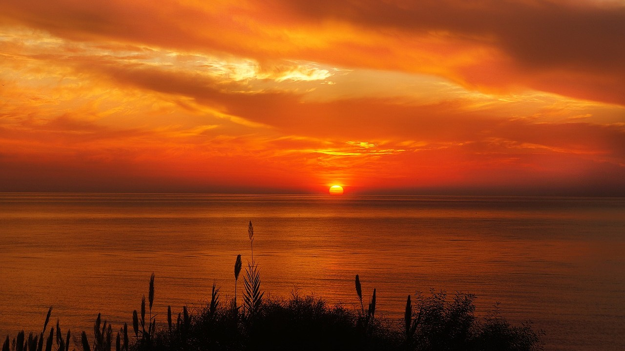 Фото Pixabay.com